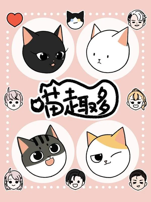 喵趣多封面