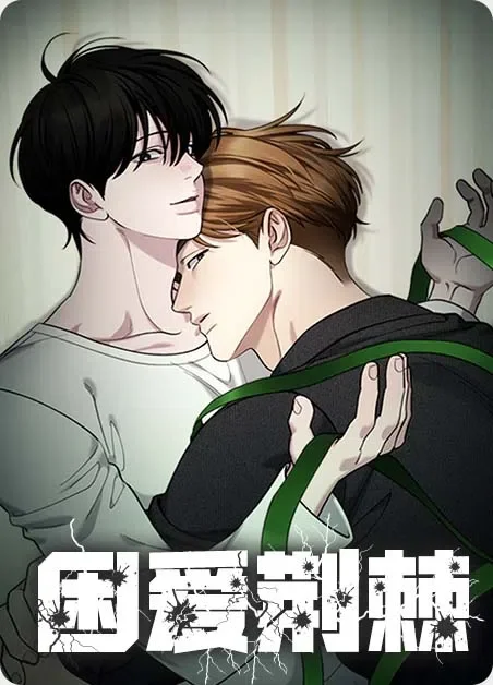 困爱荆棘封面