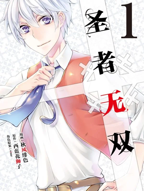 圣者无双封面