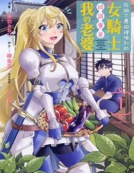 在乡下农田里捡到的女骑士被误会是我的老婆封面