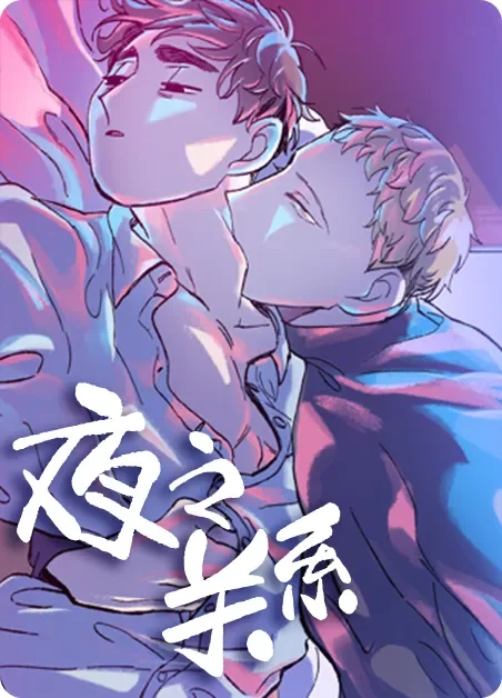 夜之关系封面