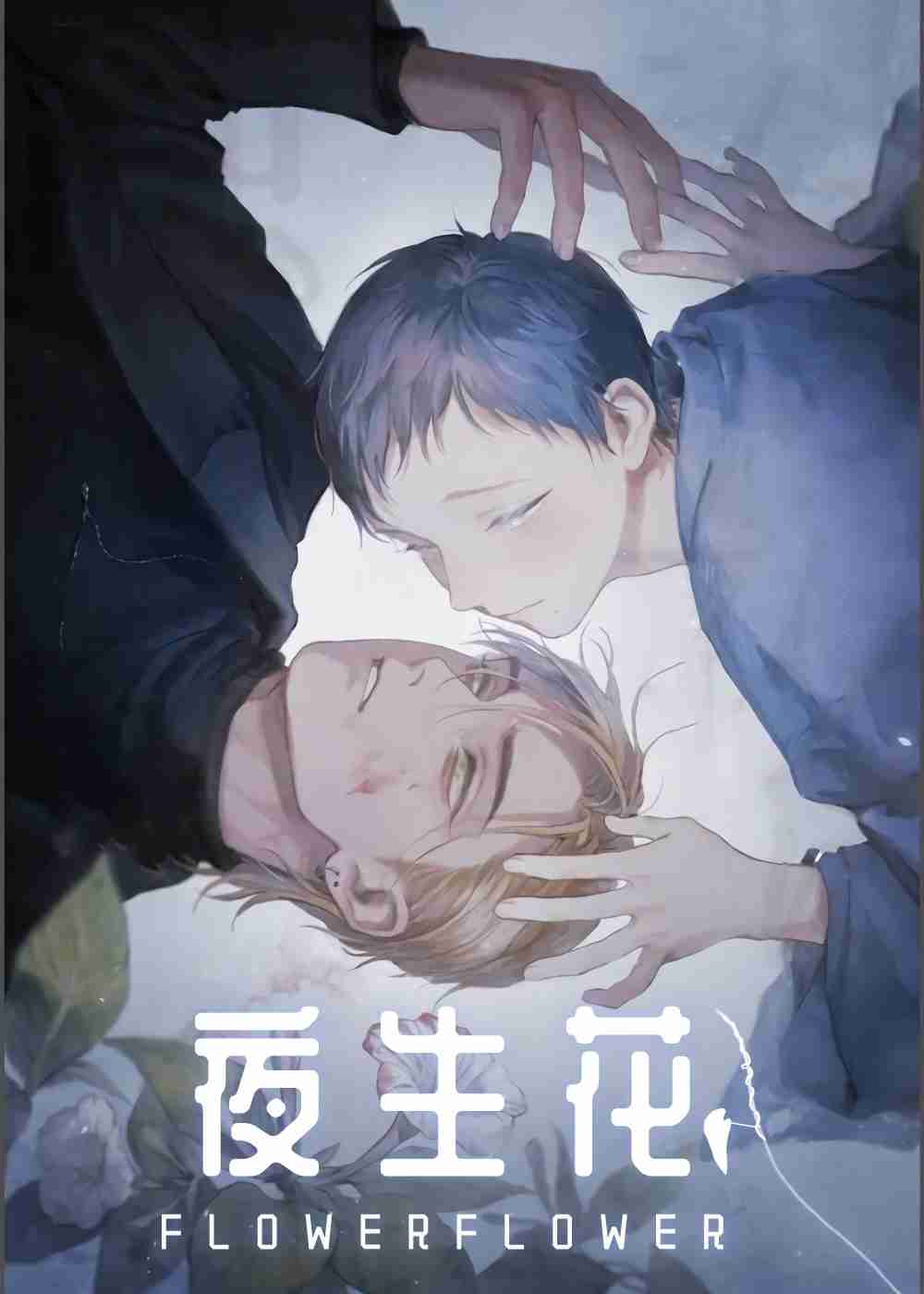 夜生花封面