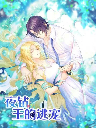 夜钻，王的逃宠封面