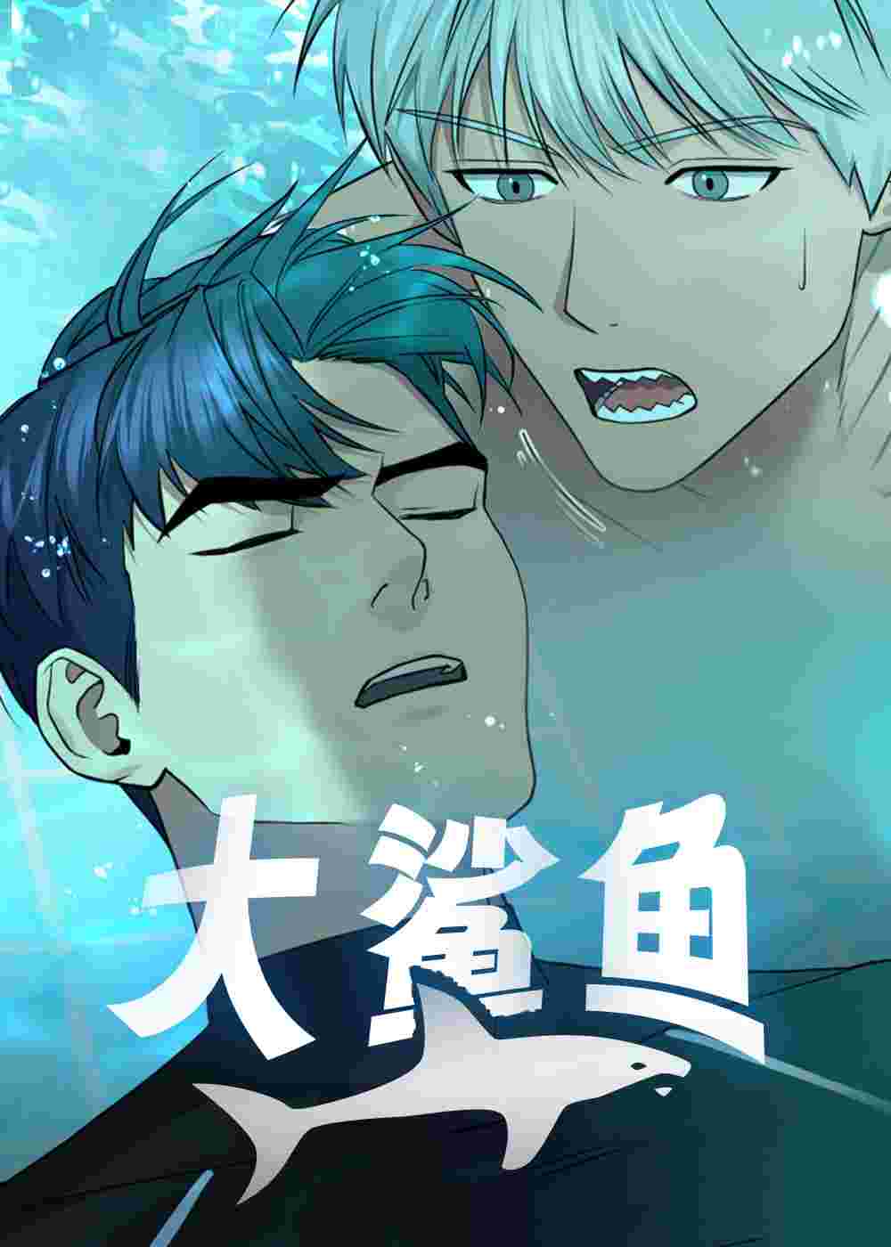 大鲨鱼封面