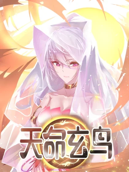 天命玄鸟封面
