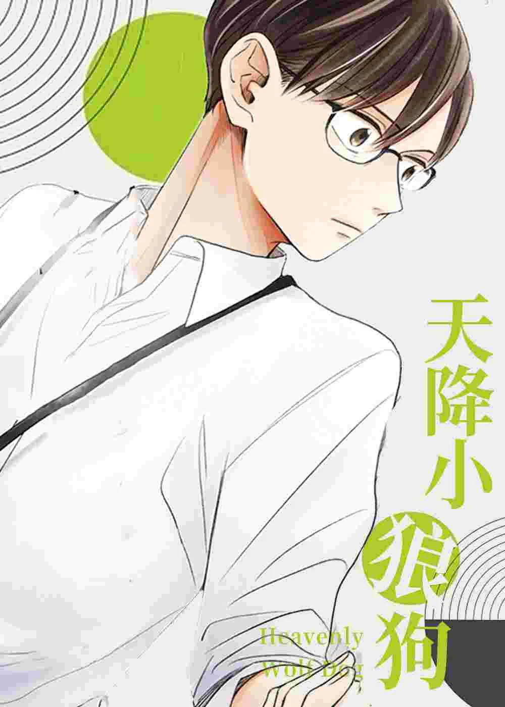 天降小狼狗封面