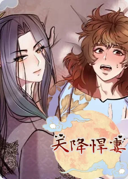 天降悍妻封面