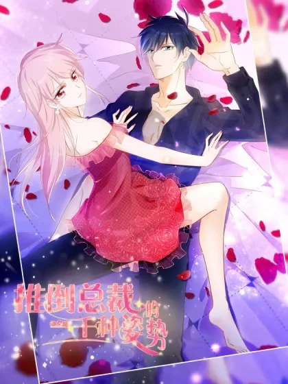 奈何清风知我意封面