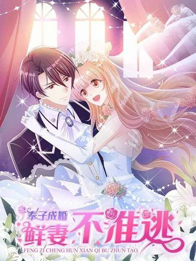 奉子成婚：鲜妻不准逃封面