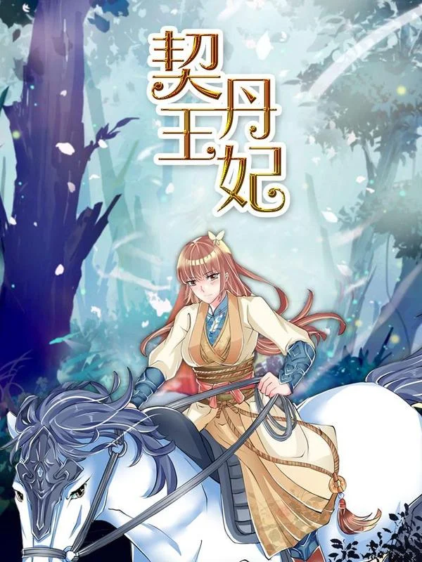 契丹王妃封面