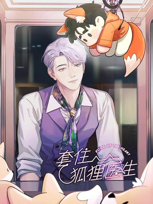 套住狐狸医生封面