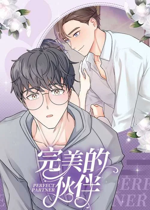 完美的伙伴封面