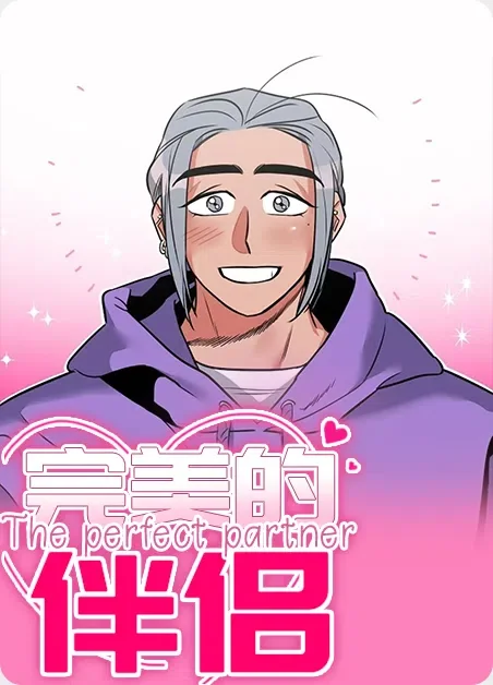 完美的伴侣封面