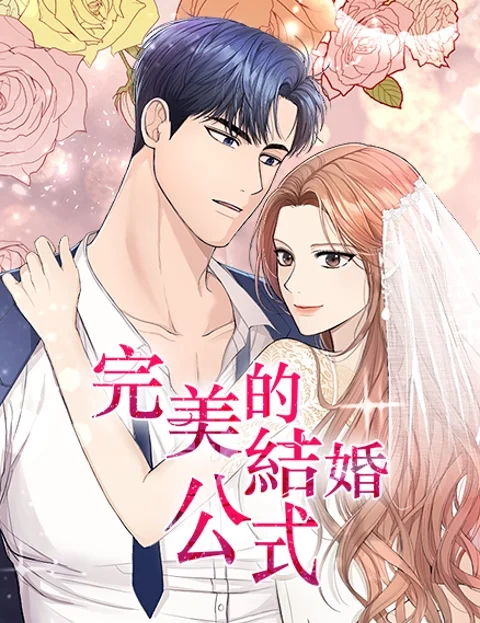完美的结婚公式封面