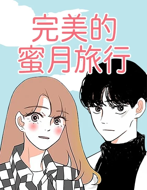完美的蜜月旅行封面