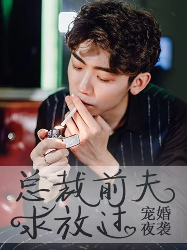 宠婚夜袭：总裁前夫求放过封面