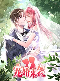 宠婚来袭封面