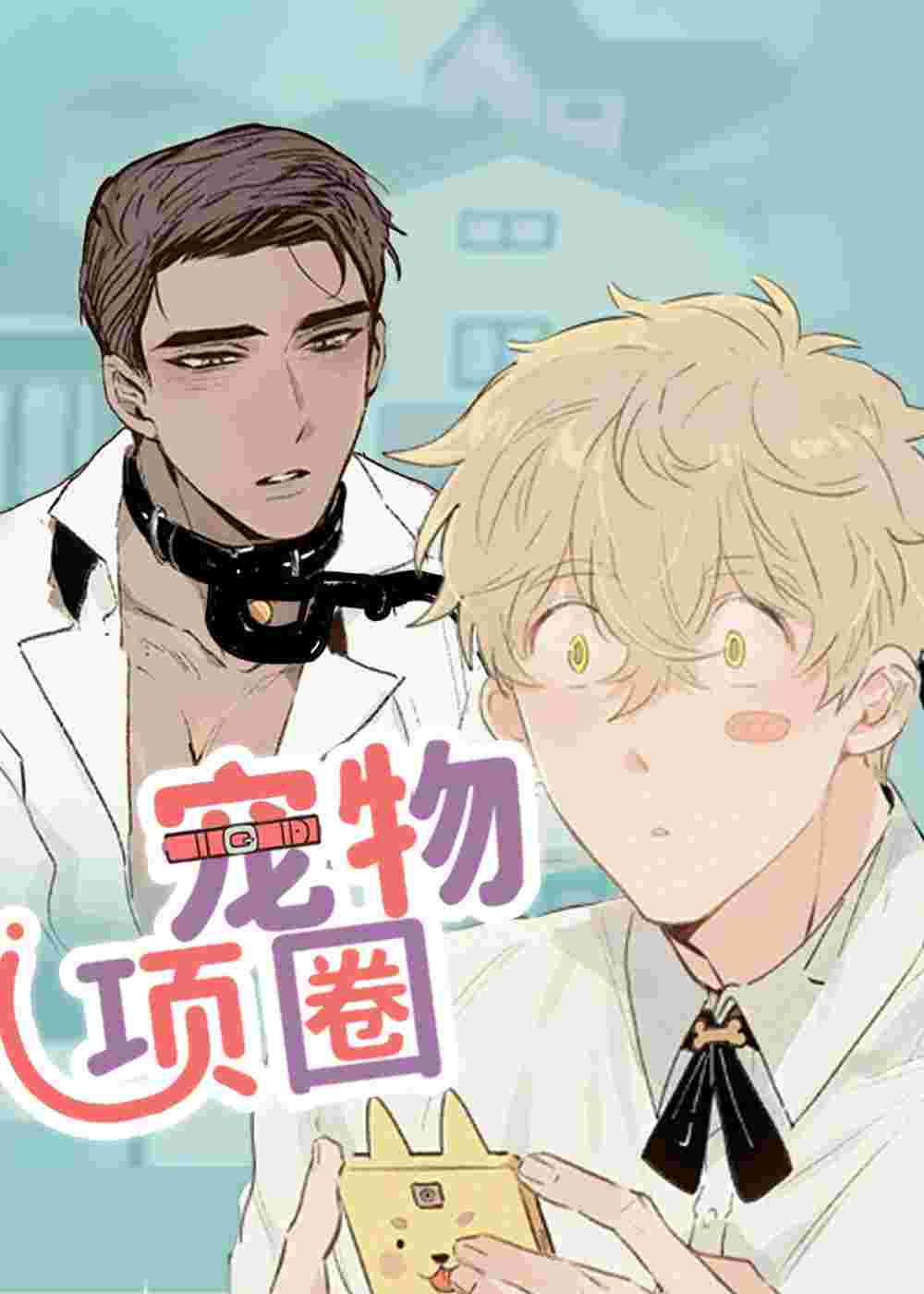 宠物项圈封面