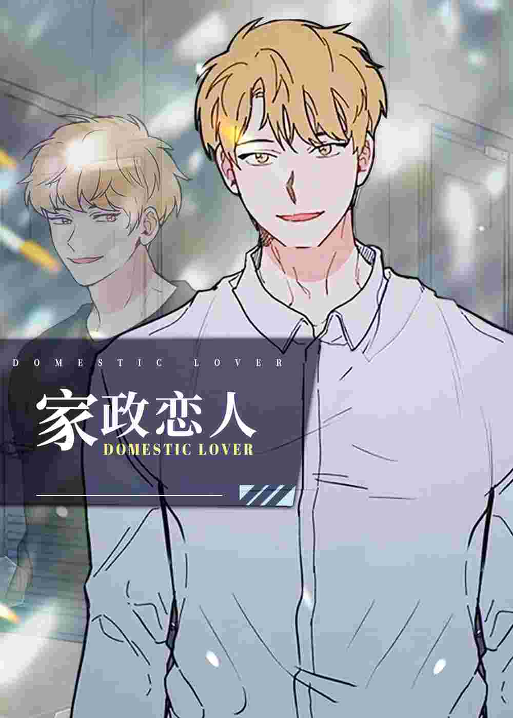 家政恋人封面