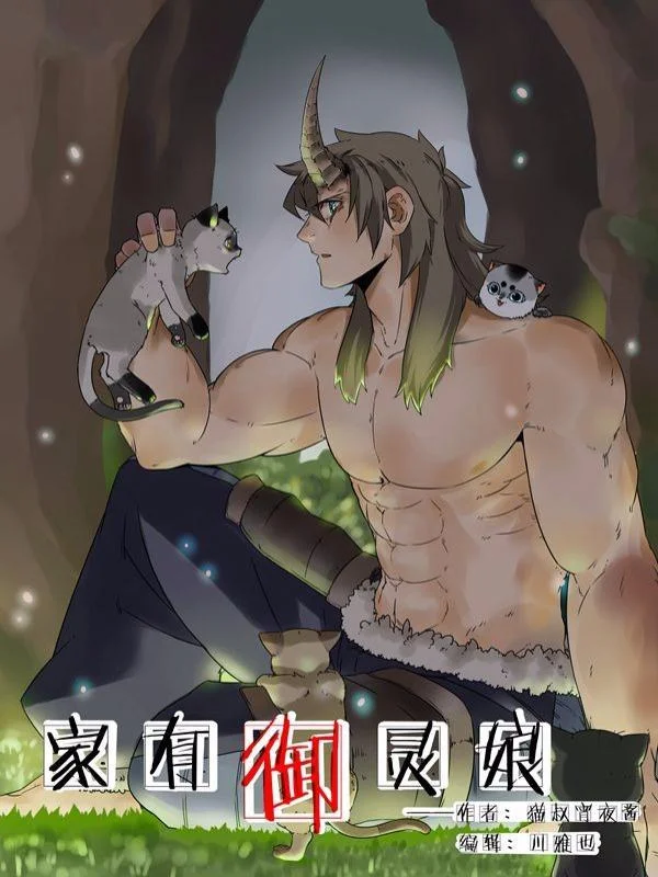家有御灵娘封面
