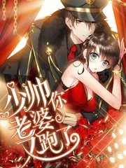 少帅你老婆又跑了封面