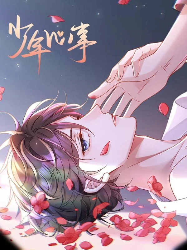 少年心事封面