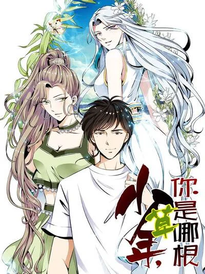 少年，你是哪根草封面