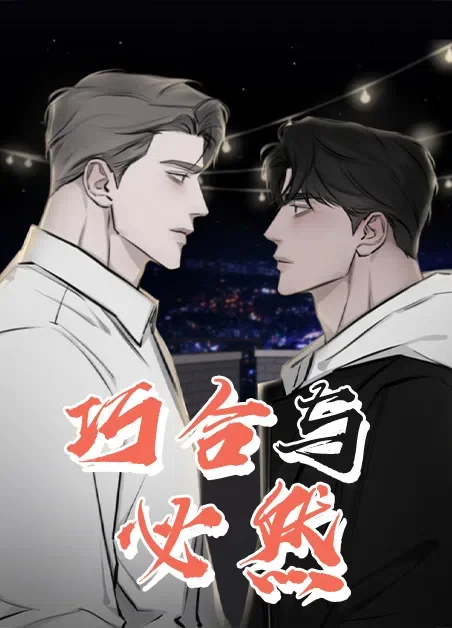 巧合与必然封面