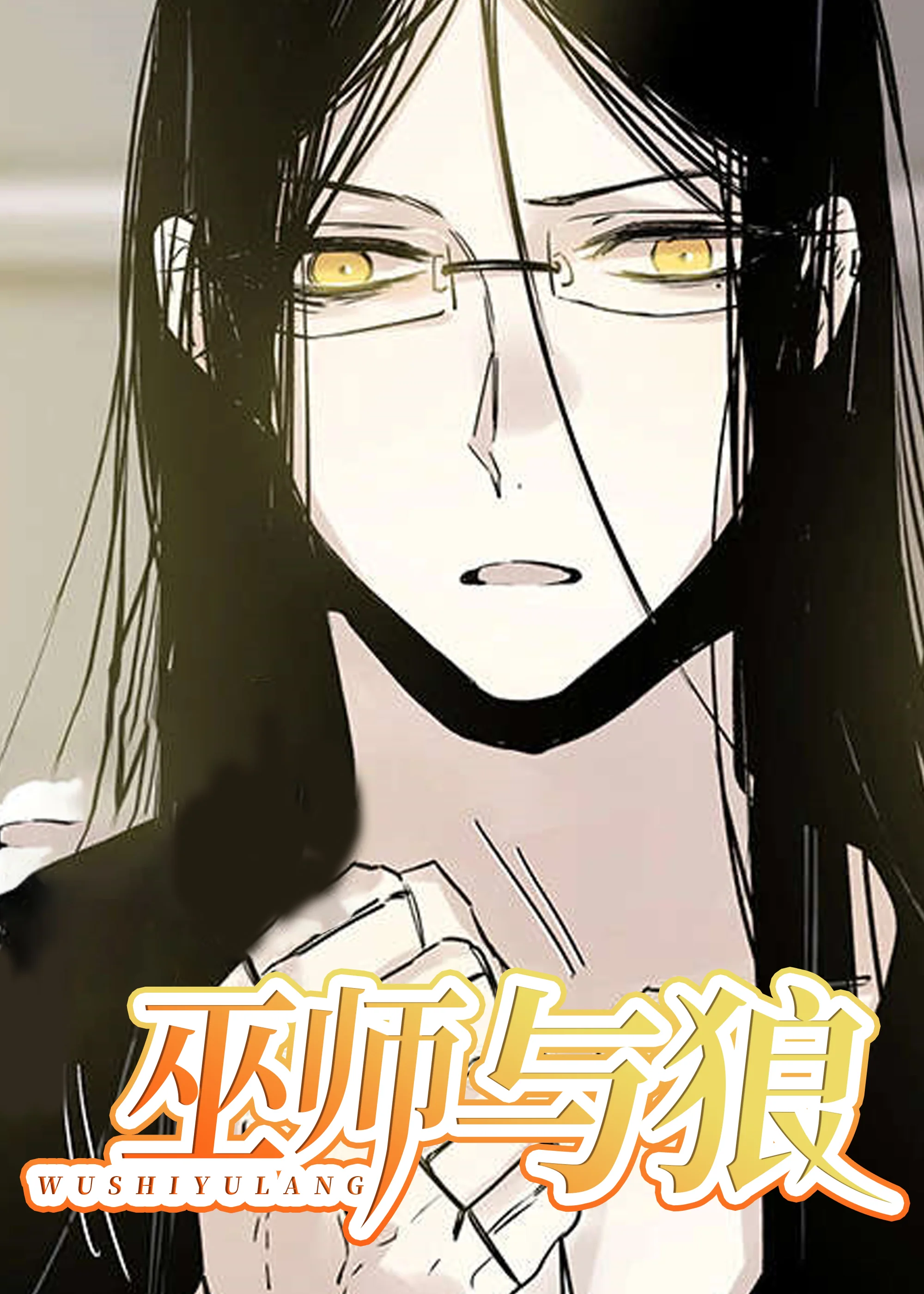 巫师与狼封面