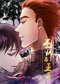 巫师与王子封面