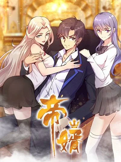 帝婿封面