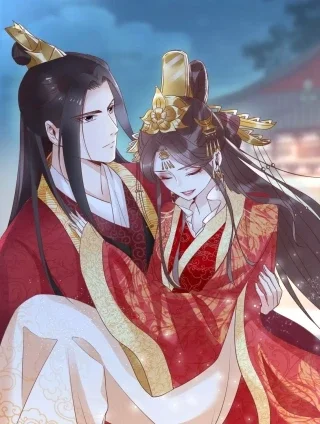帝宫东凰飞封面