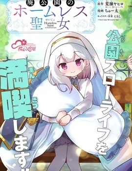 废弃公园的无家圣女封面