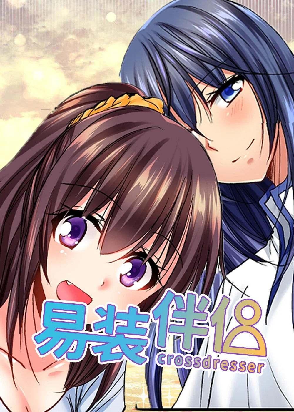 异装伴侣封面