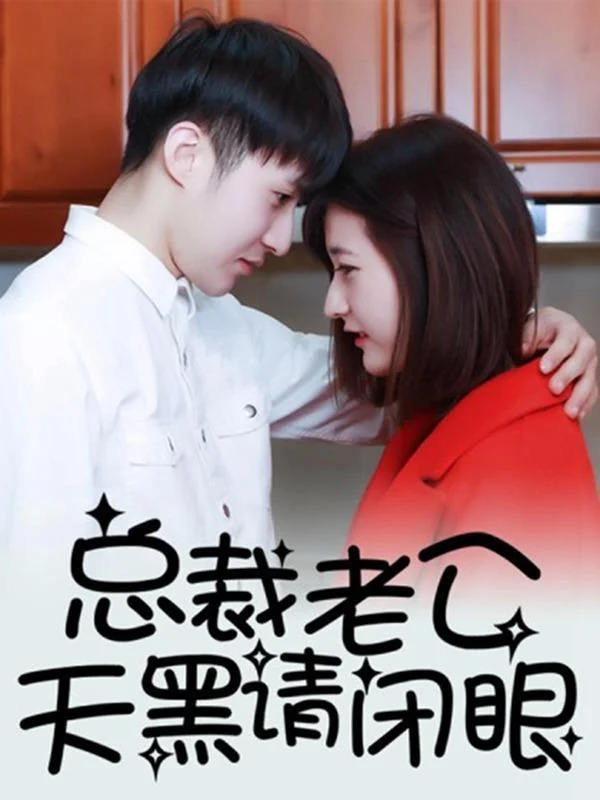 总裁老公，天黑请闭眼封面