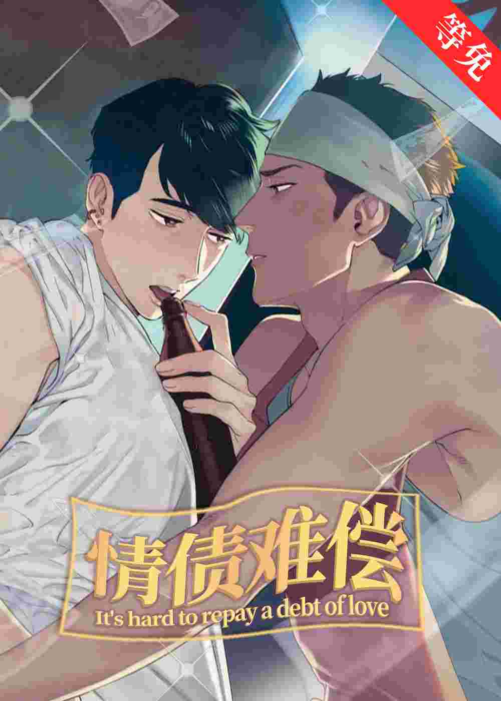 情债难偿封面