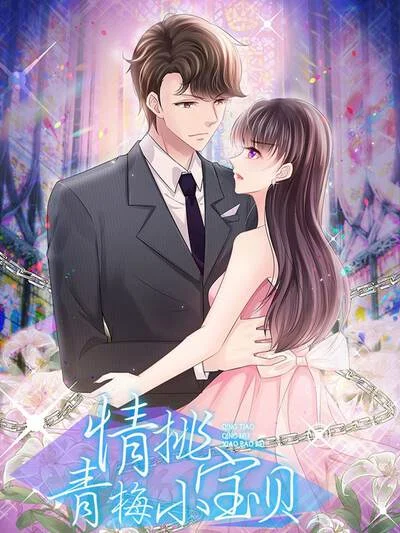 情挑青梅小宝贝封面