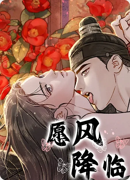 愿风降临封面