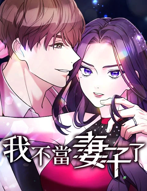 我不当妻子了封面