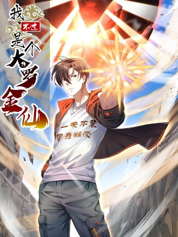 我不过是个大罗金仙封面