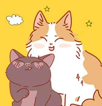 我只是一只小猫咪封面