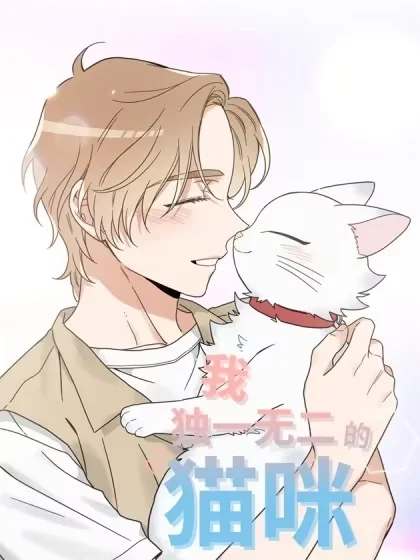 我独一无二的猫咪封面