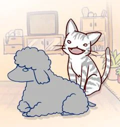 我的小猫和老狗封面