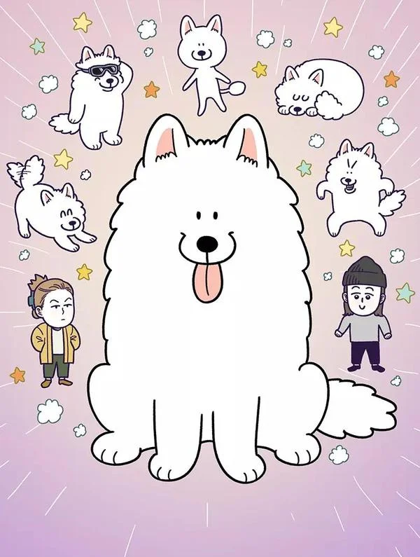 我的狗子叫棉花封面