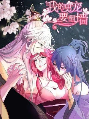 我的男宠要翻墙封面