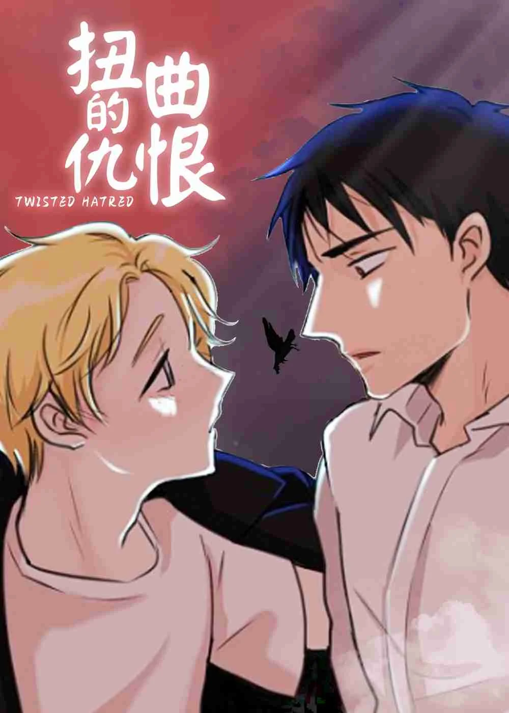 扭曲的仇恨封面
