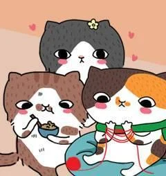 拉查花三猫日常生活封面