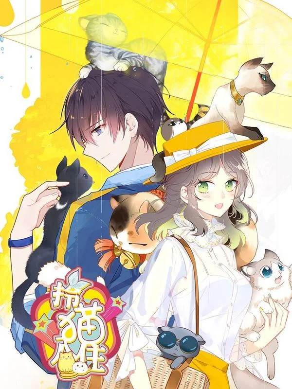 拎猫入住封面