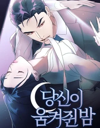 掌心之夜封面