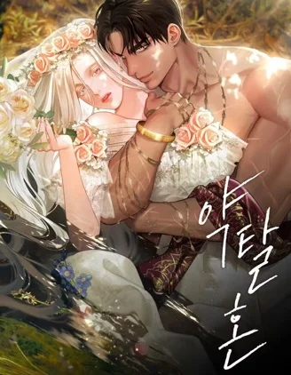 掠夺婚封面